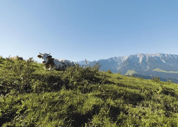 Walchseer Hof 4* Walchsee